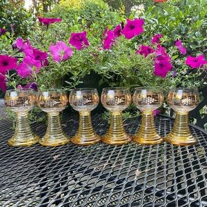 🍷Absolutely Beautiful German Yellow Gold Accented Grapes Leaves & Vine Glasses!